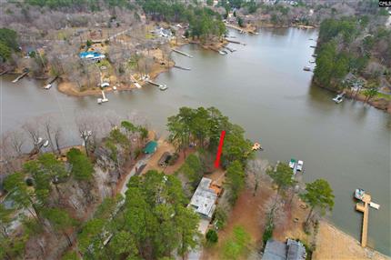 Photo of 616 Shallow Cove Court, Chapin, SC 29036
